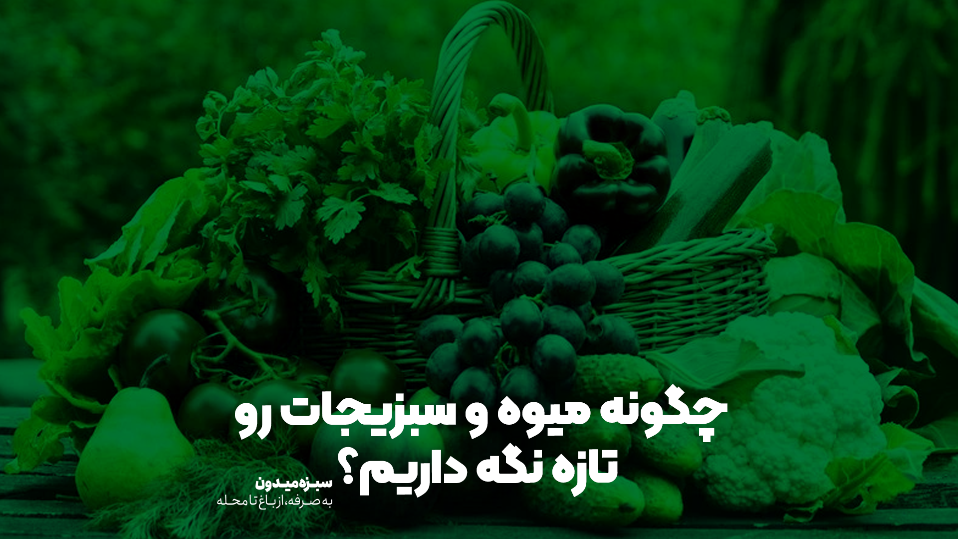 نگه-داری-میوه-و-سبزیجات