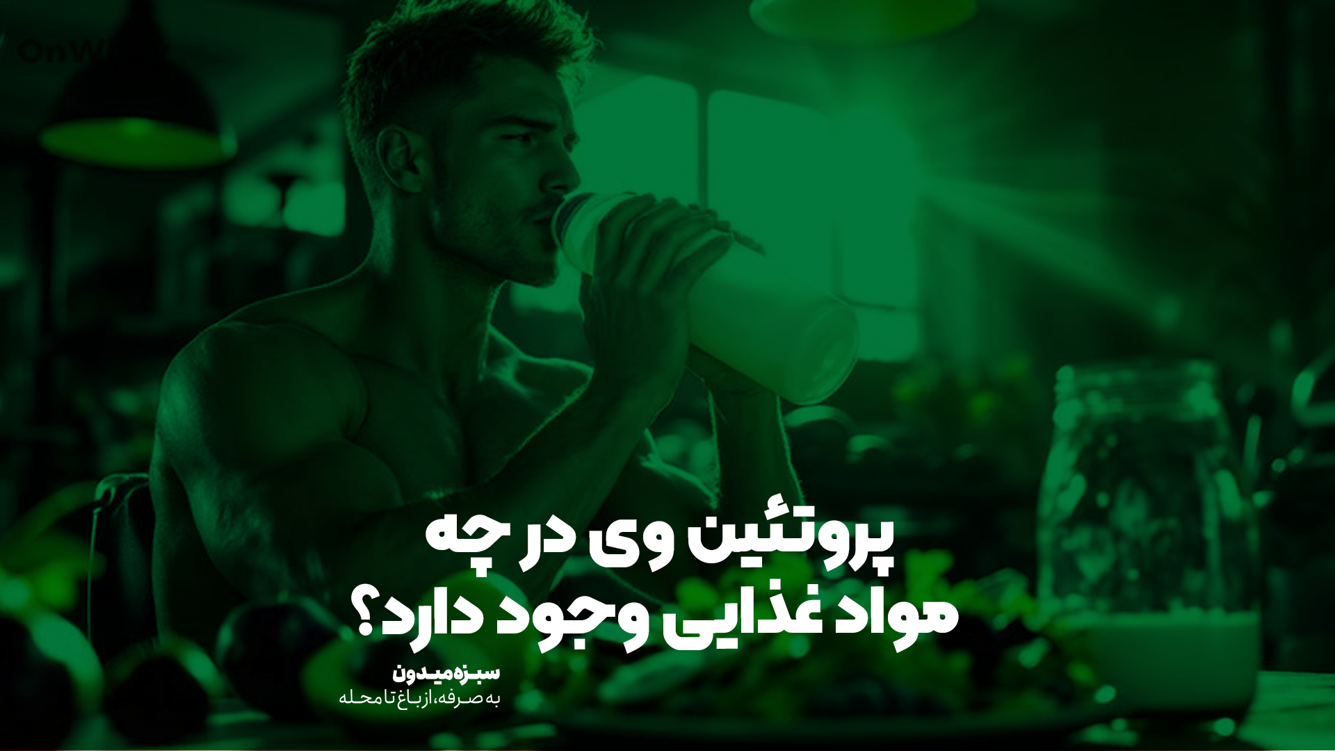 پروتئین-وی